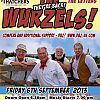 The Wurzels at Marshfield Cricket Club